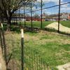 Nearly Half The Red Hook Ball Fields Are Closed Indefinitely Due To Lead Contamination